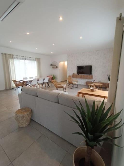 Villa Des Rives Du Tarn Avec Jacuzzi Montans ภายนอก รูปภาพ