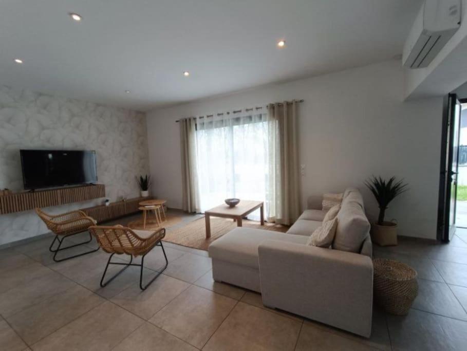 Villa Des Rives Du Tarn Avec Jacuzzi Montans ภายนอก รูปภาพ