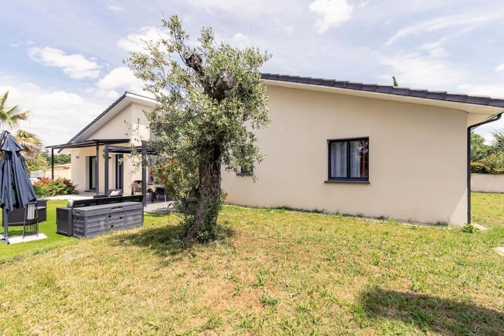 Villa Des Rives Du Tarn Avec Jacuzzi Montans ภายนอก รูปภาพ