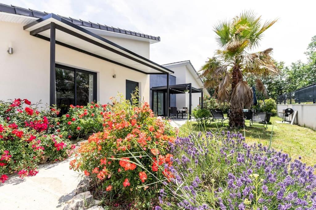 Villa Des Rives Du Tarn Avec Jacuzzi Montans ภายนอก รูปภาพ